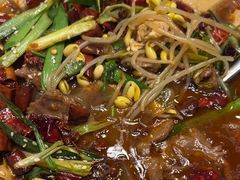 -新吉士·上海菜(浦东LCM置汇旭辉店)