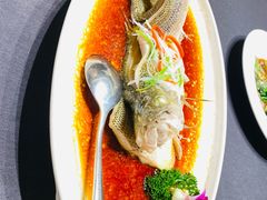 -艳阳天民俗村(公园路店)