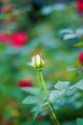 -明洞造型精品烫染