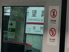 -大望路(地铁站)