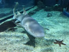 -福州罗源湾海洋世界旅游区