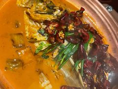 -柿合缘新京菜(国金中心商场店)