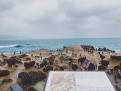 -台北101