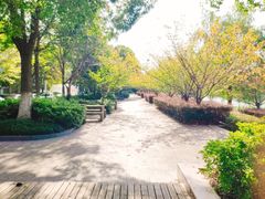 -上海第二工业大学(金海路校区)