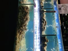 -欢乐牧场·海鲜烧烤涮自助餐(蚌山万达店)