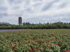 -长春北湖公园