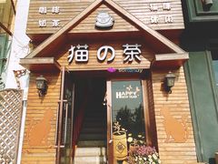 门面-猫的茶·猫咖