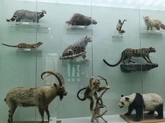 -国家自然博物馆