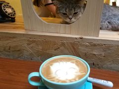 -猫色咖啡·猫咖