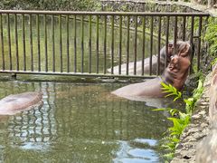 -海南热带野生动植物园