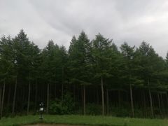 -塞罕坝国家级自然保护区