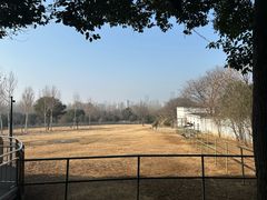 -合肥野生动物园
