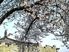 -唐城墙遗址公园