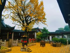 -惠山古镇·寄畅园