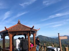 -大岭沟猕猴桃谷风景区