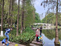 -重庆彩云湖湿地公园