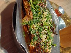 -树厨贵州菜(大十字店)