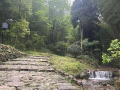 -仙霞关景区