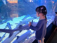 -烟台海昌鲸鲨海洋公园