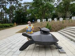 -广东惠东海龟国家级自然保护区