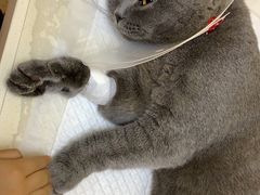 -芭比堂动物医院·CT·微创中心(新顺分院)