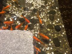 -邈墨茶馆(凤起路店)