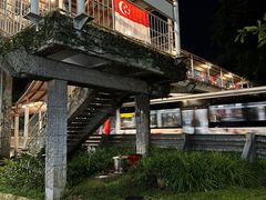 -新加坡摩天观景轮
