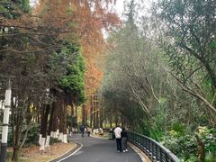 -苏州河梦清园环保主题公园