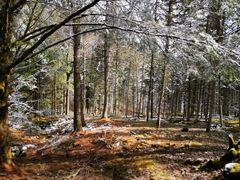 -硗碛藏寨·神木垒景区