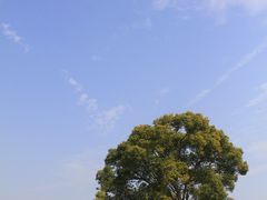 -良渚古城遗址公园