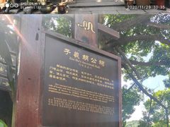 -黄埔古港