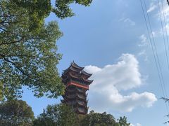 -塔子山公园