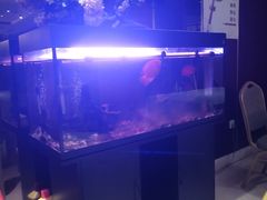-桃花印巷江南小馆(朝阳路店)