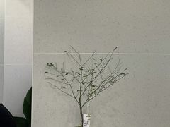-Manner Coffee(HALO广场店)