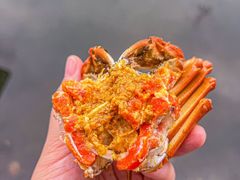 -欢乐蟹庄·精品农家乐(阳澄湖莲花岛店)
