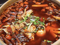 -青城甲(青城山店)