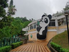 -石排湾郊野公园