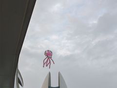-野狸岛