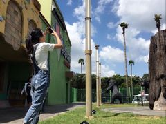 -信不信由你博物馆