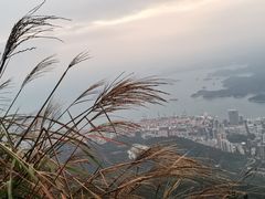 -梧桐山风景名胜区