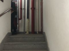 景点-杭州半山国家森林公园