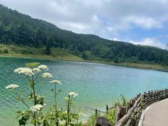 -武陵山森林公园