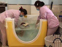 -莲生母婴月子中心(清水河公园店)