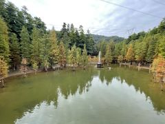 -广州市帽峰山景区