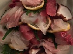 -海で魚を食べる鳥