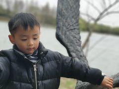 -苏州太湖国家湿地公园