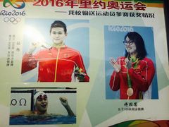 获奖情况-杭州市陈经纶体育学校