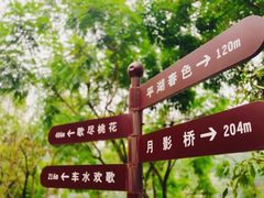 -重庆彩云湖湿地公园
