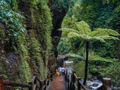 -赤水丹霞旅游区·大瀑布