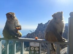 -崂山仰口游览区